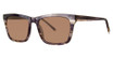 Paradigm Eyeglasses Keaton Sun Steam Horn/SH
