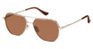 Denon Eyewear Eyeglasses TRISTAN Shiny Gold_BROWN