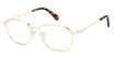 Polaroid Eyeglasses PLD D454/G GOLD/0J5G
