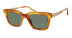 Modo Eyeglasses 473 Blonde Tortoise/BLTRT
