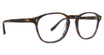 Badgley Mischka Eyeglasses Matteo Brown/Cobalt/BRC