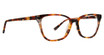 XOXO Eyeglasses Charlotte Tortoise/TOR