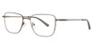 HeadLines Eyeglasses HL-1531 MATT DARK BROWN/C3