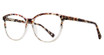Eye Q Eyewear Eyeglasses SW458 Demi Blush/ROSE