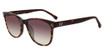 GAP Eyeglasses SGP002 Havana