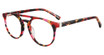 GAP Eyeglasses VGP006 Red Havana