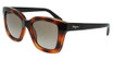 Ferragamo Eyeglasses SF955S TORTOISE/214