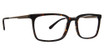 Argyleculture Simonsen Tortoise/TOR
