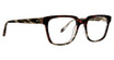 Badgley Mischka Eyeglasses Silas Brown Grey/BNG