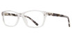 Eye Q Eyewear Eyeglasses GTN812 CRYSTAL PURPLE/PURPLE