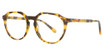 Benetton Eyeglasses BEO 1057 Tortoise/103