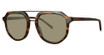 Paradigm Eyeglasses Russell Tortoise/TO
