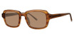 Paradigm Eyeglasses Sid Nassau/NA