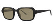 Paradigm Eyeglasses Sid Black/BK