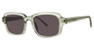 Paradigm Eyeglasses Sid Ginkgo/GK