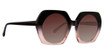 Trina Turk Eyeglasses Regatta Coffee/CFE
