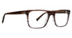 Trina Turk Eyeglasses Jacobsen Chestnut/CHN