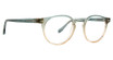 Badgley Mischka Eyeglasses Arlo Sage/SAG