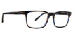 Badgley Mischka Eyeglasses York Brown/Cobalt/BRC