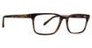 Badgley Mischka Eyeglasses York Brown Horn/BRH