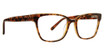 XOXO Eyeglasses Olivet Tortoise/TOR