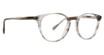 Life is Good Eyeglasses Melody Grey/GRY