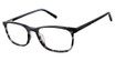 Ted Baker Eyeglasses TFM011 grey/GRY