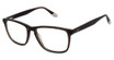 O'Neill Eyeglasses ONB-4019-T Grey/Smoke Horn/108