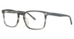 Vision's Eyeglasses PLAFV254 GREY HORN/C02