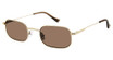Denon Eyewear Eyeglasses REMY SHINY SILVER_BROWN