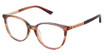 Nicole Miller Eyeglasses LUNA BROWN/C03