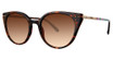Lilly Pulitzer Eyeglasses Montauk Tortoise/TO