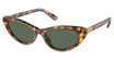 Polo Eyeglasses PH4199U SHINY HAVANA/607871