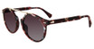 John Varvatos Eyeglasses SJV568 Matte Burgundy Havana 0BLH