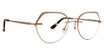 Totally Rimless Eyeglasses Visha(366) Brown/BRN