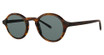 Paradigm Eyeglasses Soli Sun Tortoise/TO