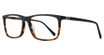 Eye Q Eyewear Eyeglasses WK207 Black/Tortoise/BLACK/TORTOISE