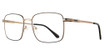 Eye Q Eyewear Eyeglasses WKM12 Black/Gold/BLACK/GOLD