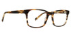 Trina Turk Eyeglasses Thorton Brown Horn/BRH