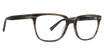 Trina Turk Eyeglasses Eero Blue Horn/BLO