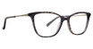XOXO Eyeglasses Cordova Night/NGT