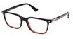 Web Eyeglasses WE5391 havana/other/056