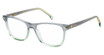 Carrera CARRERA 3009 GRY GREEN/03U5 Carrera CARRERA 3009 GRY GREEN/03U5