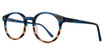 Eye Q Eyewear Eyeglasses CAMDEN Teal/Demi/TEAL/DEMI