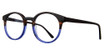 Eye Q Eyewear Eyeglasses CAMDEN Tortoise/Blue/TORT/BLU