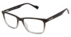 Ben Sherman Eyeglasses BEECH KHAKI/C02