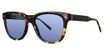 Original Penguin Eyeglasses The Joel Sun Tortoise/TO
