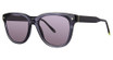 Original Penguin Eyeglasses The Joel Sun Poseidon/PS