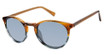 Ted Baker Eyeglasses TMS173 amber/AMB