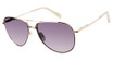 Ted Baker Eyeglasses TWS257 gold/black/GLD